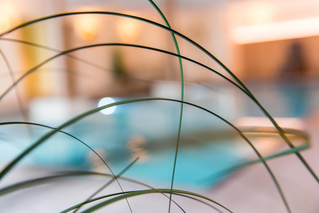 Hotel Falken 팔제스 외부 사진